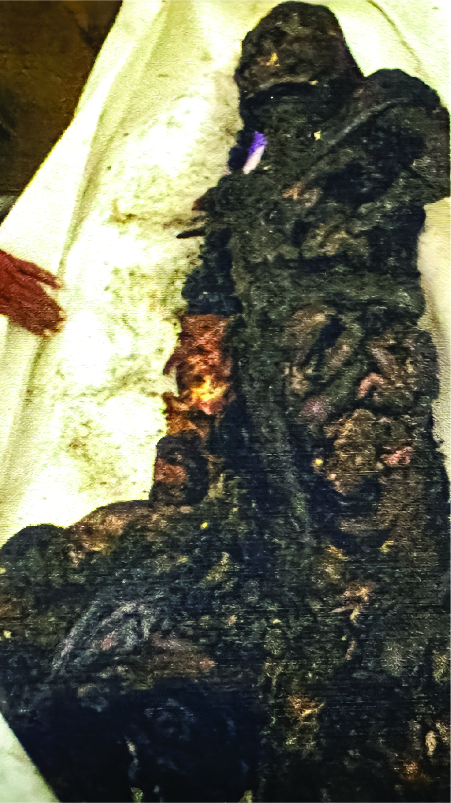 Image of মো: জোবায়ের হোসেন
